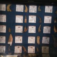 Museo di Storia Naturale