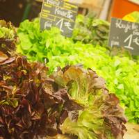 Le marché de l'Arquebuse