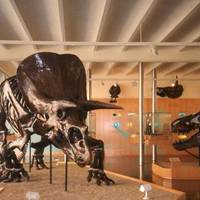 Institut Català de Paleontologia Miquel Crusafont