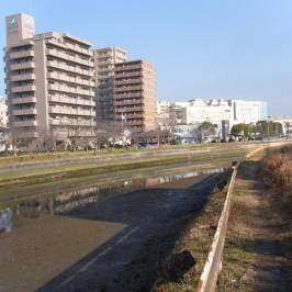 Majime River Park