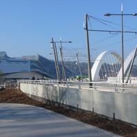 Pont Raymond Barre