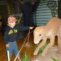 The MUSEUM