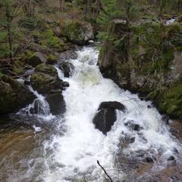 Le Saut des Cuves