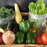 Southern Fresh Farms