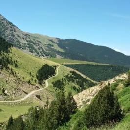 Cascadas del Boom