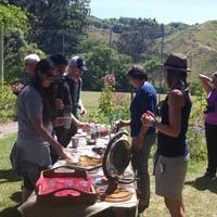 Station Life In Rural New Zealand