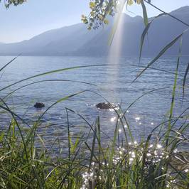 Lac du Bourget