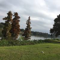 University Lake
