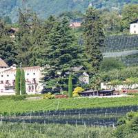 Weinlehrpfad