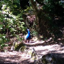 Parque do Fontelo