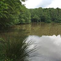 Steinbachtalsperre