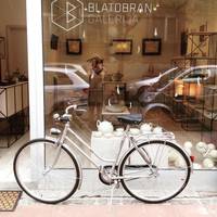Blatobran Gallery