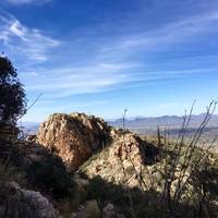 Pontatoc Ridge Trail