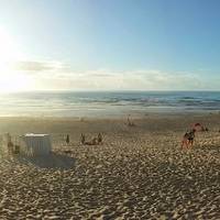 Vieira de Leiria Beach