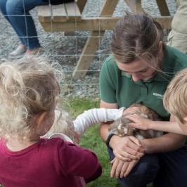 Manorafon Farm Park
