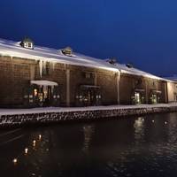 Otaru Snow Light Path