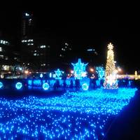 Sapporo White Illumination