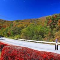 Yatsugatake Kogen Line