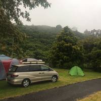 Welcome Bay Hot Pools and Camp Ground