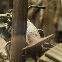 Centro Documentazione e Ricerche Storiche di Gotica Toscana Onlus