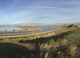 Sunnyvale Bay Trail