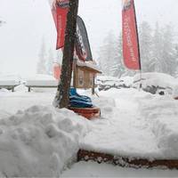 Sport 2000 Wolf Ski Shop
