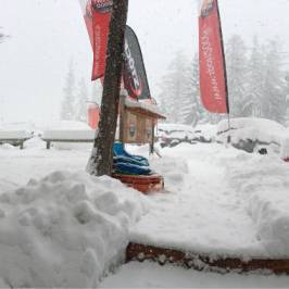 Sport 2000 Wolf Ski Shop