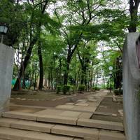 Nishinippori Park