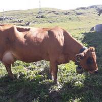 Ferme Pédagogique Chez Pépé Nicolas
