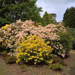 Langley Country Park