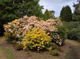 Langley Country Park