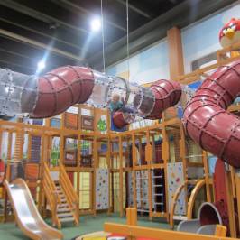 Angry Birds Activity Park