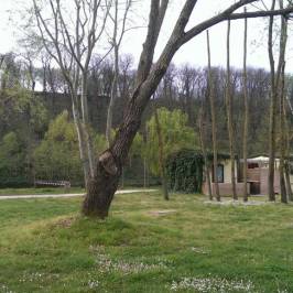 Parco Urbano di Santo Spirito