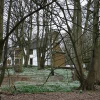 Lings Wood Nature Reserve