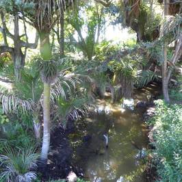 Opua Forest Lookout Track