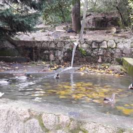 Parque de los Pinos