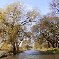Chesterfield Canal