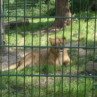 Tierpark Gera