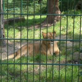 Tierpark Gera