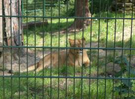 Tierpark Gera