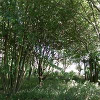 York FootGolf Centre