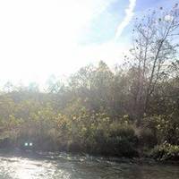 Mark Twain National Forest