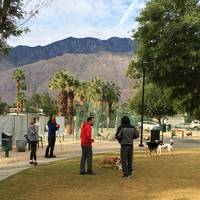 Palm Springs Dog Park