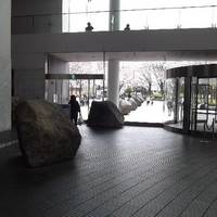 Solid Square