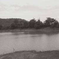 Thattekere Lake