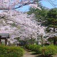 Suwa Park