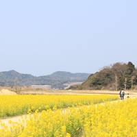 Refresh Park Toyoura