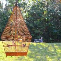 Kebun Baru Birdsinging Club