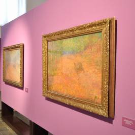 Alsova jihoceska galerie