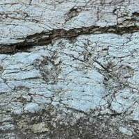 Impronte di Dinosauro